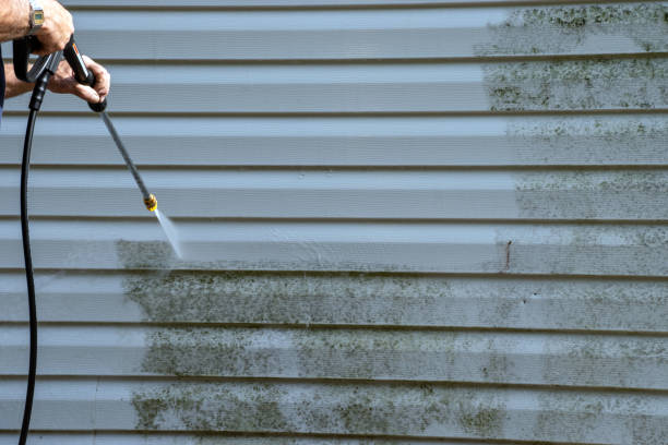 Siding for Multi-Family Homes in Viola, NY