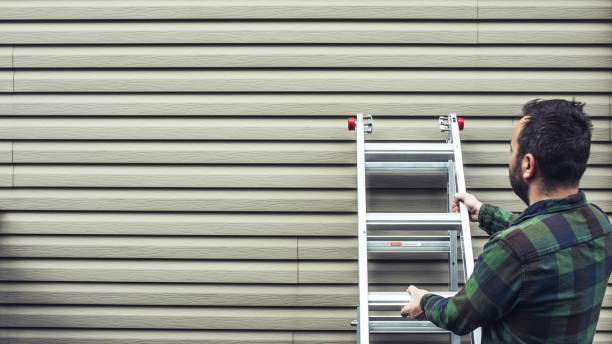 Best Brick Veneer Siding  in Viola, NY