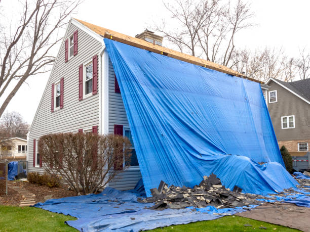 Best Residential Vinyl Siding Installation  in Viola, NY