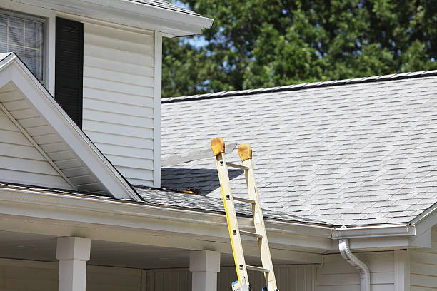 Best Aluminum Siding Installation  in Viola, NY