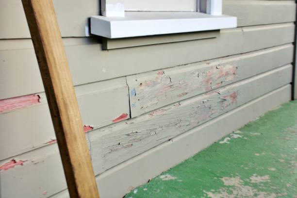 Best Historical Building Siding Restoration  in Viola, NY