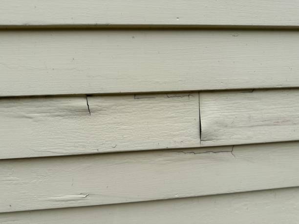 Best Siding Maintenance  in Viola, NY