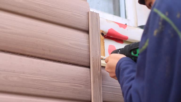 Best Stone Veneer Siding  in Viola, NY